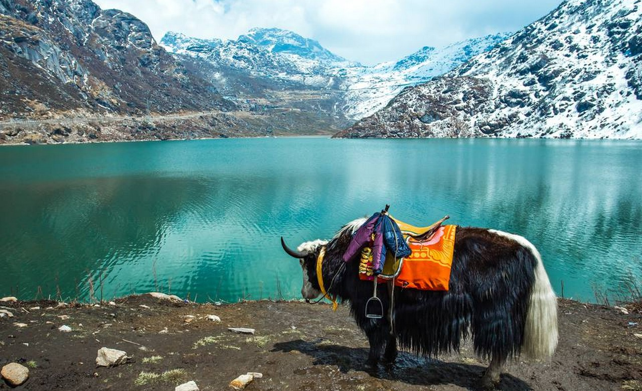 Best Time to Visit Sikkim and Darjeeling: Season-by-Season Guide for 2026