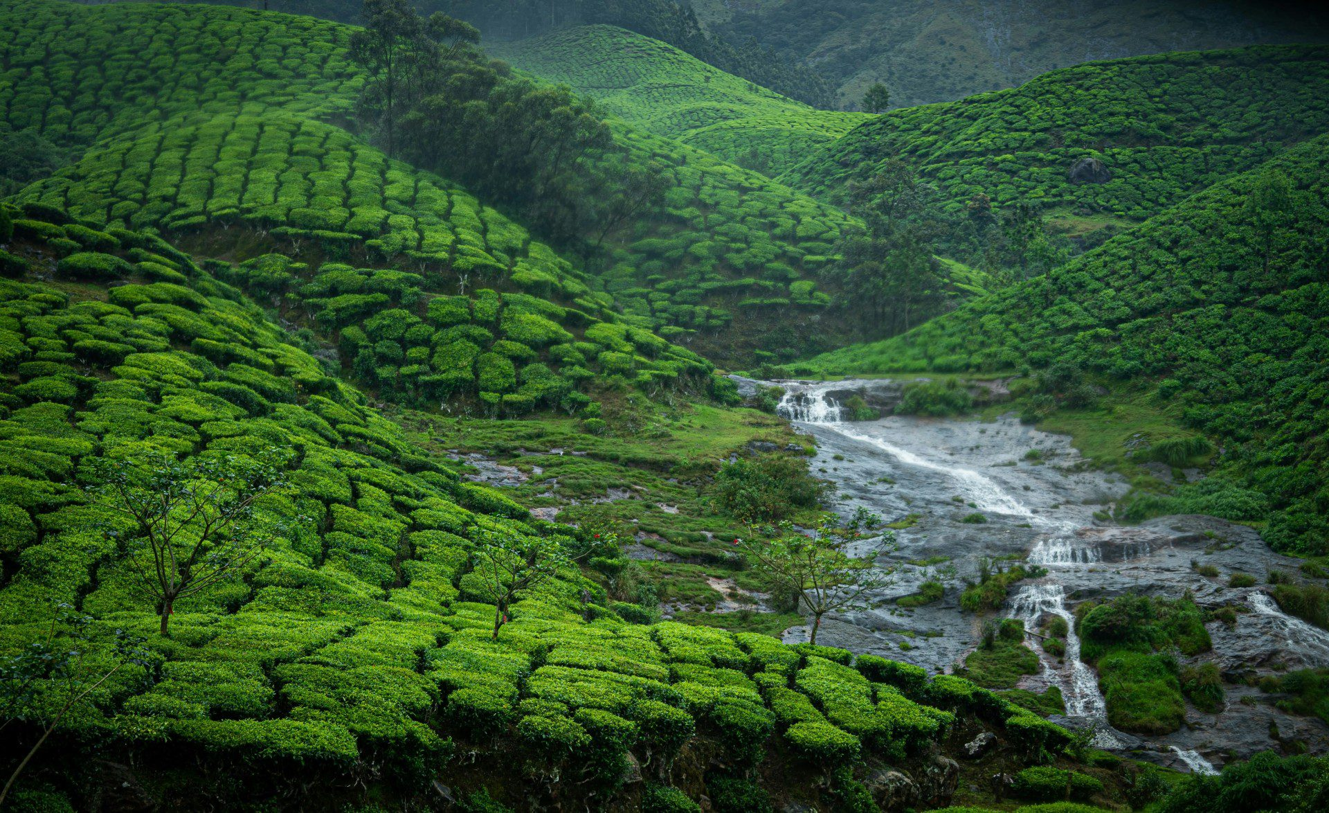 Best Place for Couples in Kerala