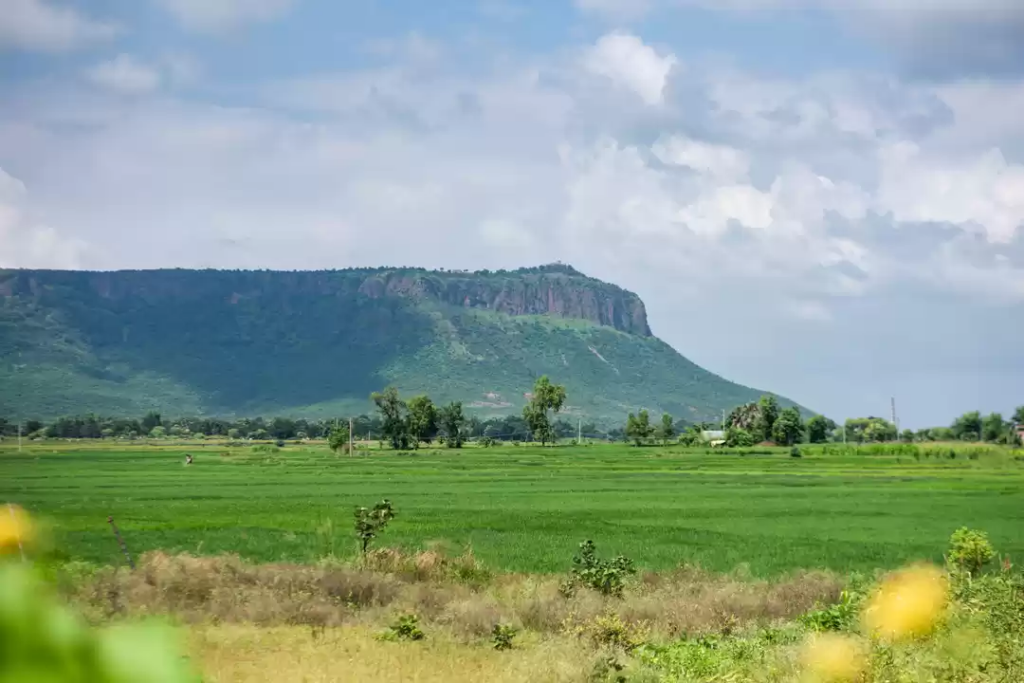 Kaimur Hills and Rohtas