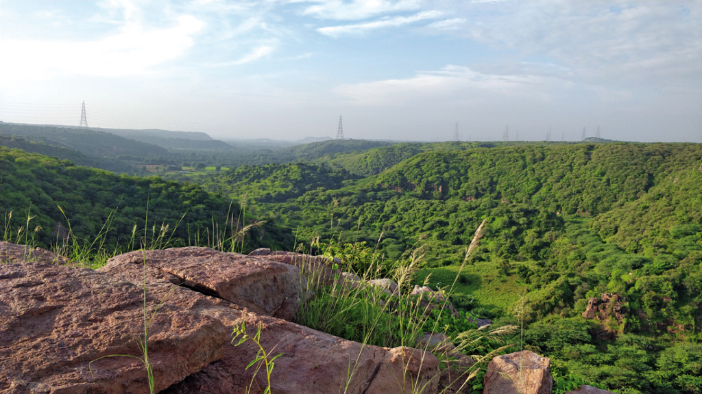 Mangar Bani: The Forest Escape Near Gurgaon