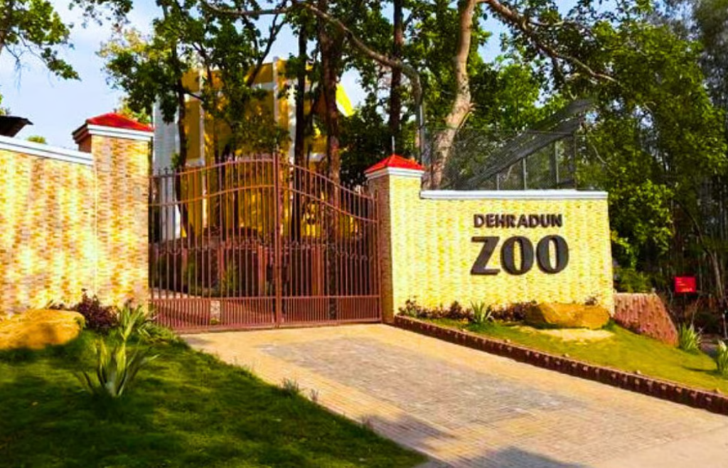 Malsi Deer Park (Dehradun Zoo)