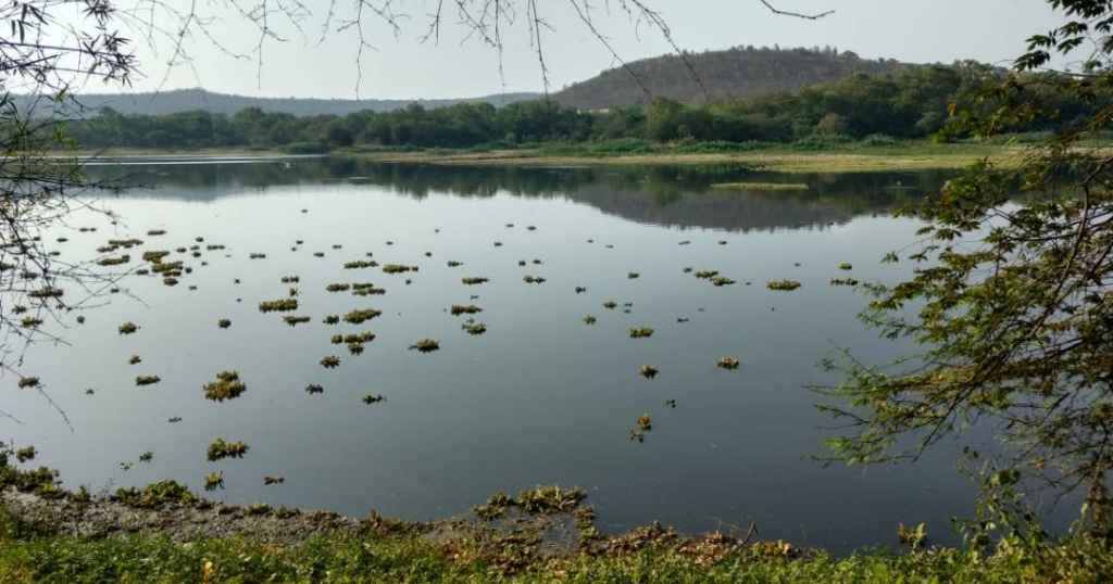 Pashan Lake