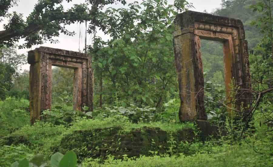 Polo Forest, Sabarkantha