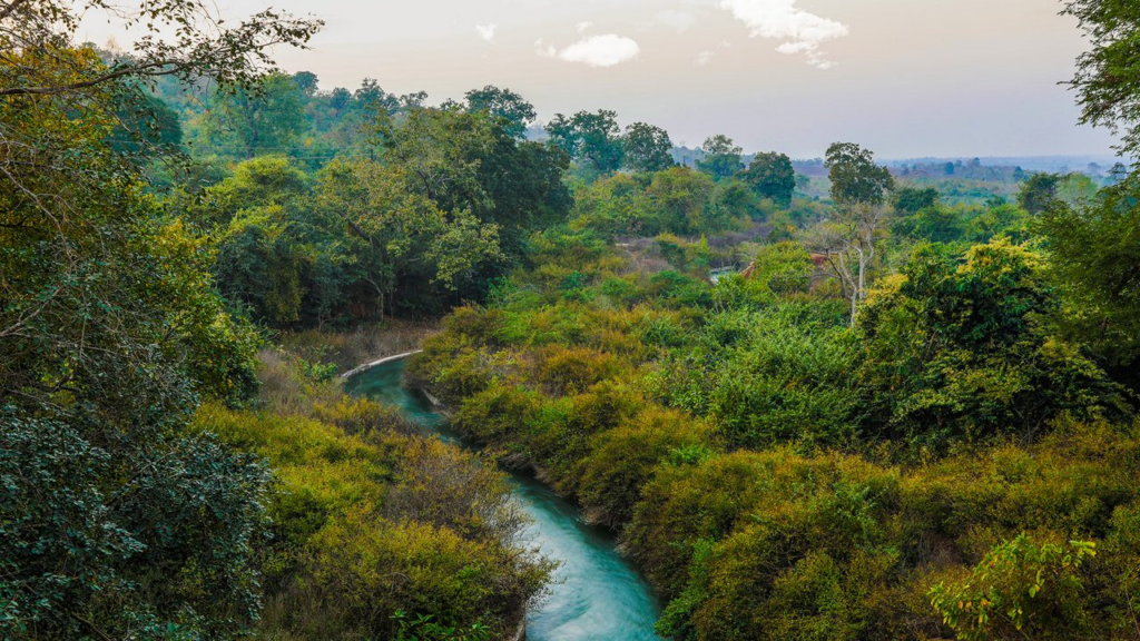 Pakhal Wildlife Sanctuary