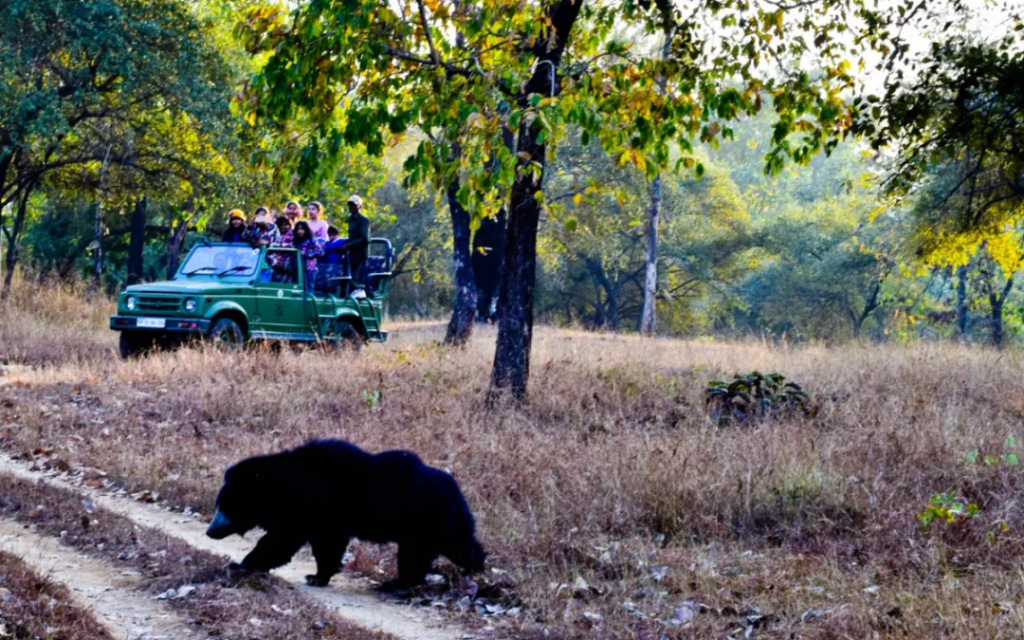 Satpura National Park