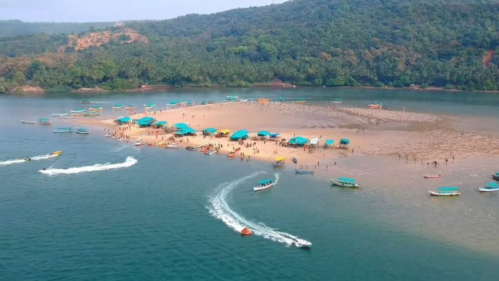 Tarkarli