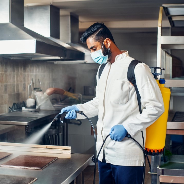 restaurant pest control restaurant pest control in andheri