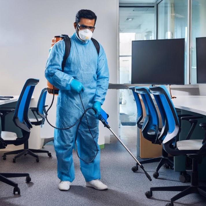 office pest control office pest control in andheri