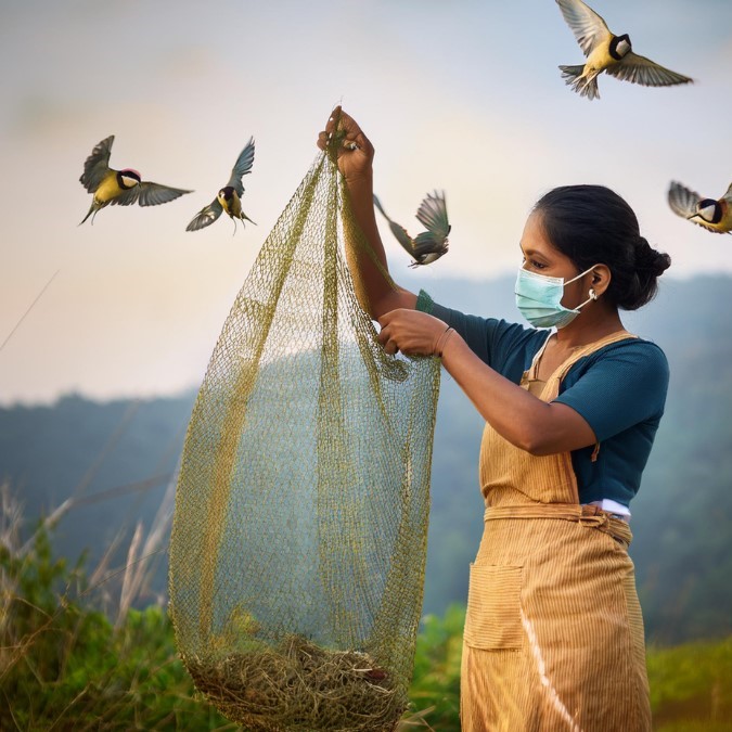 bird control in andheri