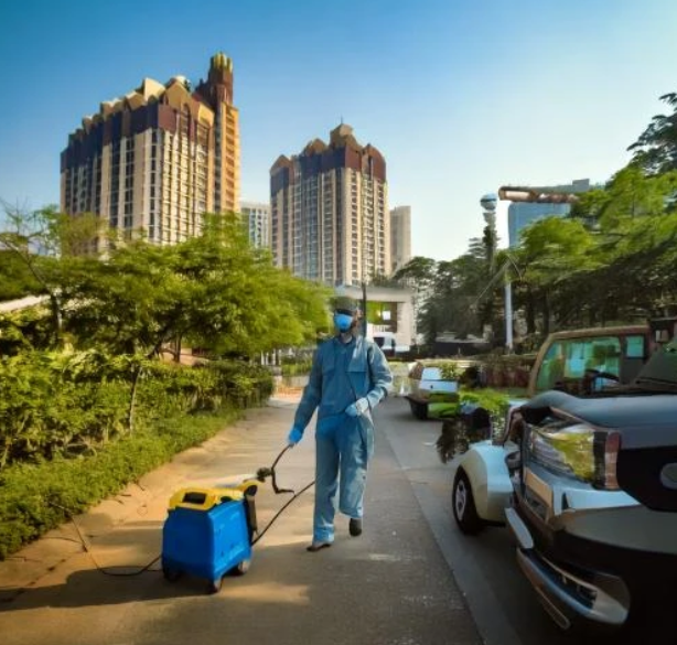 Pest Control in Navi Mumbai