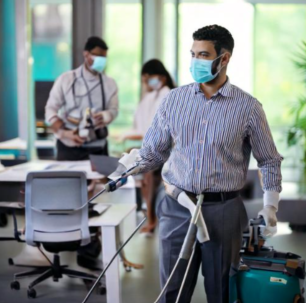 pest control in kalyan pest control in kalyan