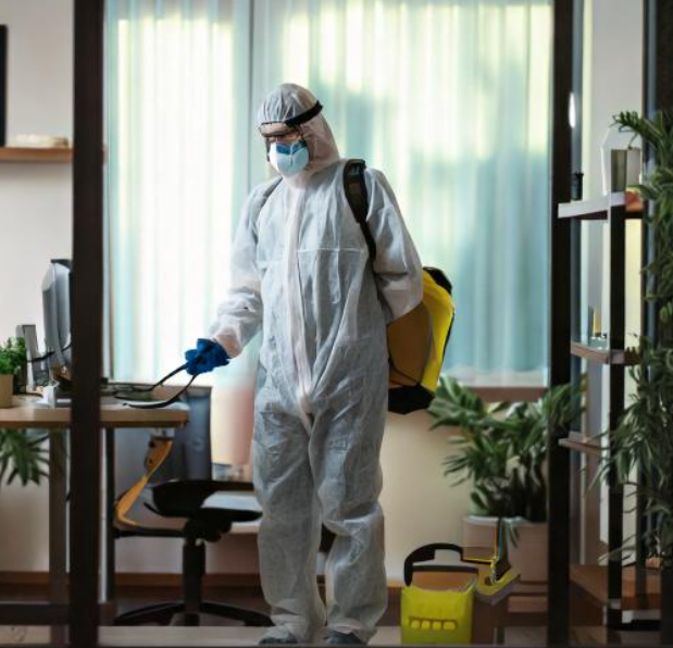 pest control in mulund