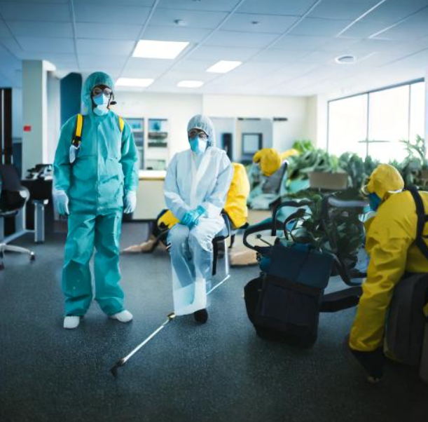 pest control in mira road