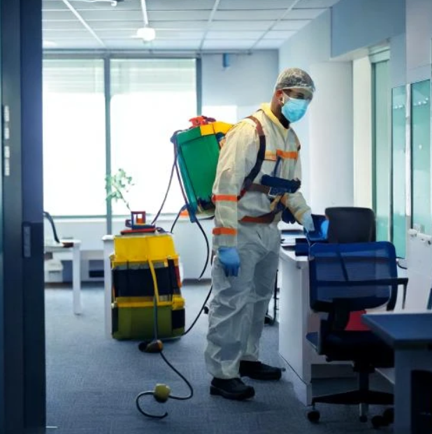 Pest Control in Virar