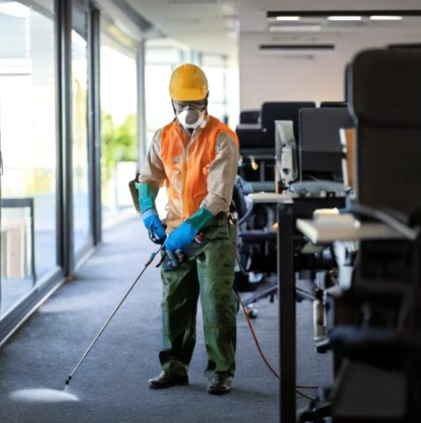 Pest Control Vashi Pest Control Vashi