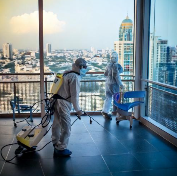 pest control in airoli pest control in airoli