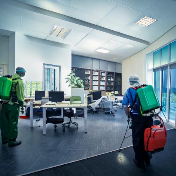 pest control malad west