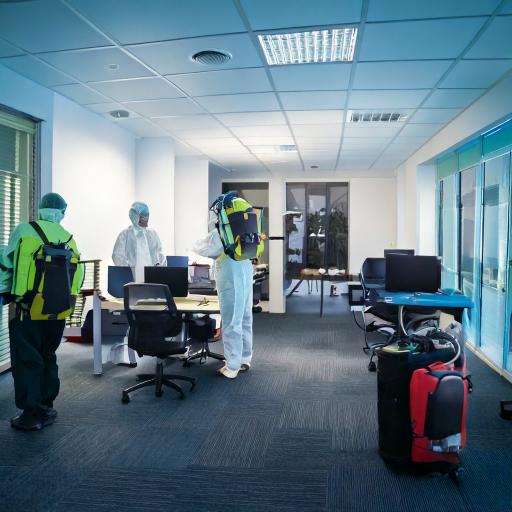 Pest Control in Virar West