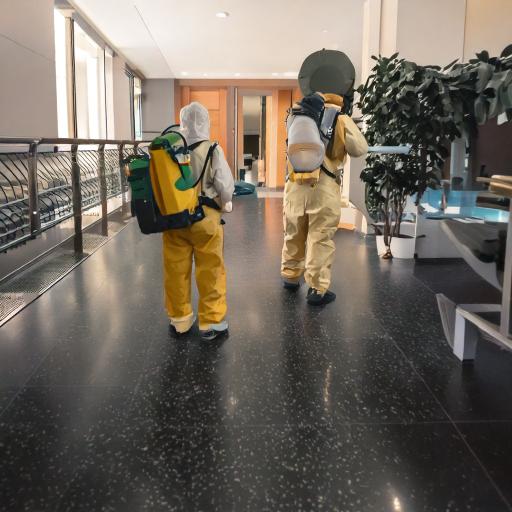 pest control in dombivli east pest control in dombivli east